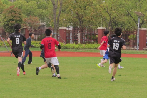 乐动青春，逐梦绿茵|我校“乐动比赛日”足球专项赛圆满落幕